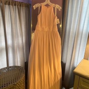 David’s Bridal Bridesmaid Dress - Long Chiff Highneck